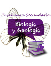 Pack de libros. Cuerpo de Profesores de Enseñanza Secundaria. Biología y Geología de Ed. CEP